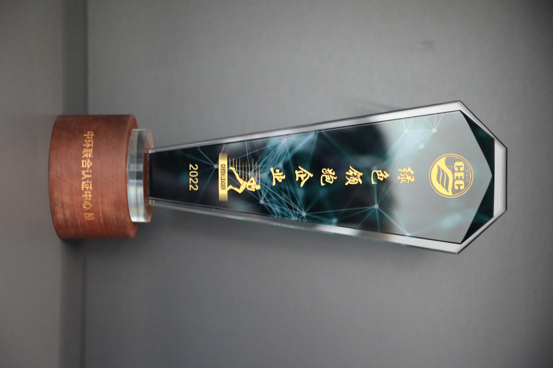 美巢深耕家裝環(huán)保輔料賽道，榮獲“綠色領(lǐng)跑企業(yè)”稱號
